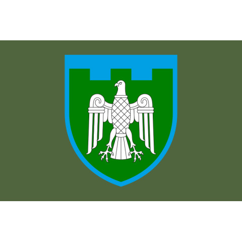 Прапор 107 ОБрТрО ЗСУ (окрема бригада територіальної оборони). Варіант-03