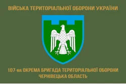 Прапор 107 ОБрТрО ЗСУ (окрема бригада територіальної оборони). Варіант-04 Прапор 107 ОБрТрО ЗСУ (окрема бригада територіальної оборони). Варіант-04