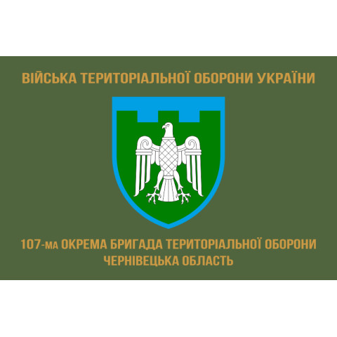 Прапор 107 ОБрТрО ЗСУ (окрема бригада територіальної оборони). Варіант-04