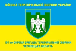 Прапор 107 ОБрТрО ЗСУ (окрема бригада територіальної оборони). Варіант-05 Прапор 107 ОБрТрО ЗСУ (окрема бригада територіальної оборони). Варіант-05