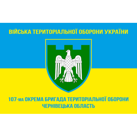 Прапор 107 ОБрТрО ЗСУ (окрема бригада територіальної оборони). Варіант-05