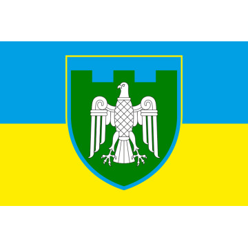 Прапор 107 ОБрТрО ЗСУ (окрема бригада територіальної оборони). Варіант-06