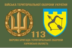 Прапор 113 ОБрТрО ЗСУ (окрема бригада територіальної оборони). Варіант-02 Прапор 113 ОБрТрО ЗСУ (окрема бригада територіальної оборони). Варіант-02