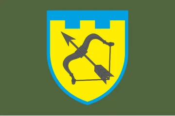 Флаг 113 ОБрТрО ВСУ (отдельная бригада территориальной обороны). Вариант-03