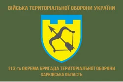 Прапор 113 ОБрТрО ЗСУ (окрема бригада територіальної оборони). Варіант-04 Прапор 113 ОБрТрО ЗСУ (окрема бригада територіальної оборони). Варіант-04