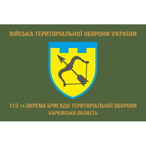 Прапор 113 ОБрТрО ЗСУ (окрема бригада територіальної оборони). Варіант-04