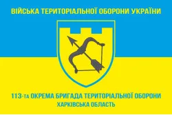 Прапор 113 ОБрТрО ЗСУ (окрема бригада територіальної оборони). Варіант-05 Прапор 113 ОБрТрО ЗСУ (окрема бригада територіальної оборони). Варіант-05