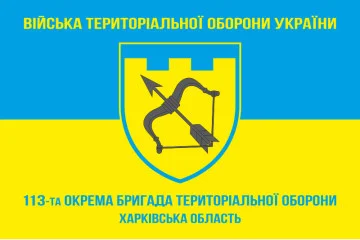 Флаг 113 ОБрТрО ВСУ (отдельная бригада территориальной обороны). Вариант-05