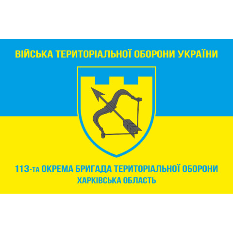Прапор 113 ОБрТрО ЗСУ (окрема бригада територіальної оборони). Варіант-05