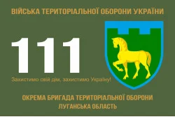 Прапор 111 ОБрТрО ЗСУ (окрема бригада територіальної оборони). Варіант-01 Прапор 111 ОБрТрО ЗСУ (окрема бригада територіальної оборони). Варіант-01