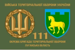 Прапор 111 ОБрТрО ЗСУ (окрема бригада територіальної оборони). Варіант-02 Прапор 111 ОБрТрО ЗСУ (окрема бригада територіальної оборони). Варіант-02