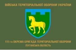 Прапор 111 ОБрТрО ЗСУ (окрема бригада територіальної оборони). Варіант-04 Прапор 111 ОБрТрО ЗСУ (окрема бригада територіальної оборони). Варіант-04
