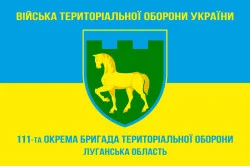 Прапор 111 ОБрТрО ЗСУ (окрема бригада територіальної оборони). Варіант-05 Прапор 111 ОБрТрО ЗСУ (окрема бригада територіальної оборони). Варіант-05