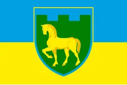 Прапор 111 ОБрТрО ЗСУ (окрема бригада територіальної оборони). Варіант-06 Прапор 111 ОБрТрО ЗСУ (окрема бригада територіальної оборони). Варіант-06
