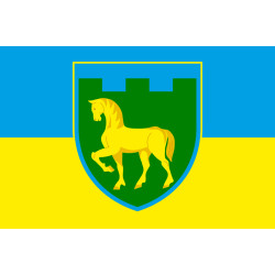 Прапор 111 ОБрТрО ЗСУ (окрема бригада територіальної оборони). Варіант-06 Прапор 111 ОБрТрО ЗСУ (окрема бригада територіальної оборони). Варіант-06