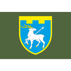 Прапор 123 ОБрТрО ЗСУ (окрема бригада територіальної оборони). Варіант-03