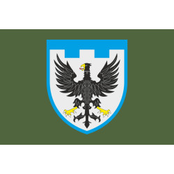Прапор 119 ОБрТрО ЗСУ (окрема бригада територіальної оборони). Варіант-03