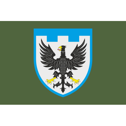 Прапор 119 ОБрТрО ЗСУ (окрема бригада територіальної оборони). Варіант-03