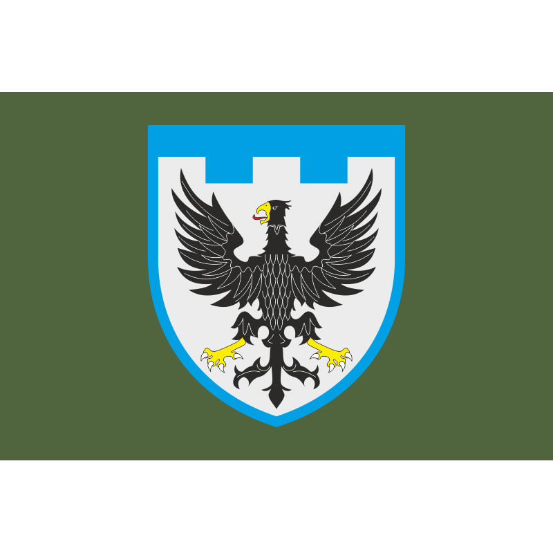 Прапор 119 ОБрТрО ЗСУ (окрема бригада територіальної оборони). Варіант-03 Прапор 119 ОБрТрО ЗСУ (окрема бригада територіальної оборони). Варіант-03