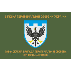 Прапор 119 ОБрТрО ЗСУ (окрема бригада територіальної оборони). Варіант-04
