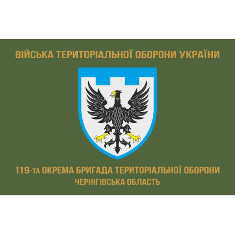Прапор 119 ОБрТрО ЗСУ (окрема бригада територіальної оборони). Варіант-04