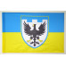 Прапор 119 ОБрТрО ЗСУ (окрема бригада територіальної оборони). Варіант-06
