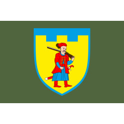 Прапор 110 ОБрТрО ЗСУ (окрема бригада територіальної оборони). Варіант-03
