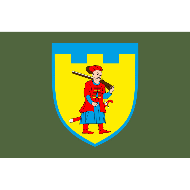 Прапор 110 ОБрТрО ЗСУ (окрема бригада територіальної оборони). Варіант-03 Прапор 110 ОБрТрО ЗСУ (окрема бригада територіальної оборони). Варіант-03