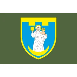 Прапор 117 ОБрТрО ЗСУ (окрема бригада територіальної оборони). Варіант-03 Прапор 117 ОБрТрО ЗСУ (окрема бригада територіальної оборони). Варіант-03