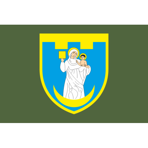 Прапор 117 ОБрТрО ЗСУ (окрема бригада територіальної оборони). Варіант-03
