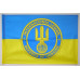 Флаг Интернационального легиона ТрО Украины. Вариант-02