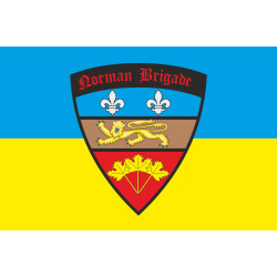 Флаг норманской бригады ВСУ. Вариант-01