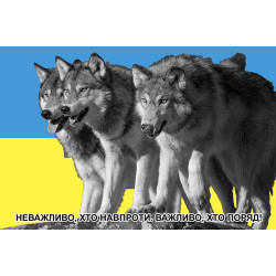 Прапор «Не має значення хто, навпаки. Важливо, хто поряд!». Варіант-02 Прапор «Не має значення хто, навпаки. Важливо, хто поряд!». Варіант-02