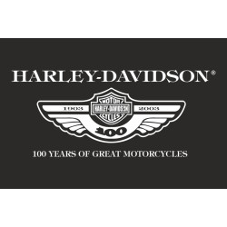 Прапор любителів Harley-Davidson (укр. Харлі-Девідсон)-100 років. Варіант-01 Прапор любителів Harley-Davidson (укр. Харлі-Девідсон)-100 років. Варіант-01