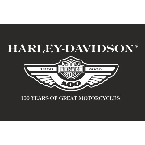 Флаг любителей Harley-Davidson (рус. Харли-Дэвидсон)-100 лет. Вариант-01 Флаг любителей Harley-Davidson (рус. Харли-Дэвидсон)-100 лет. Вариант-01