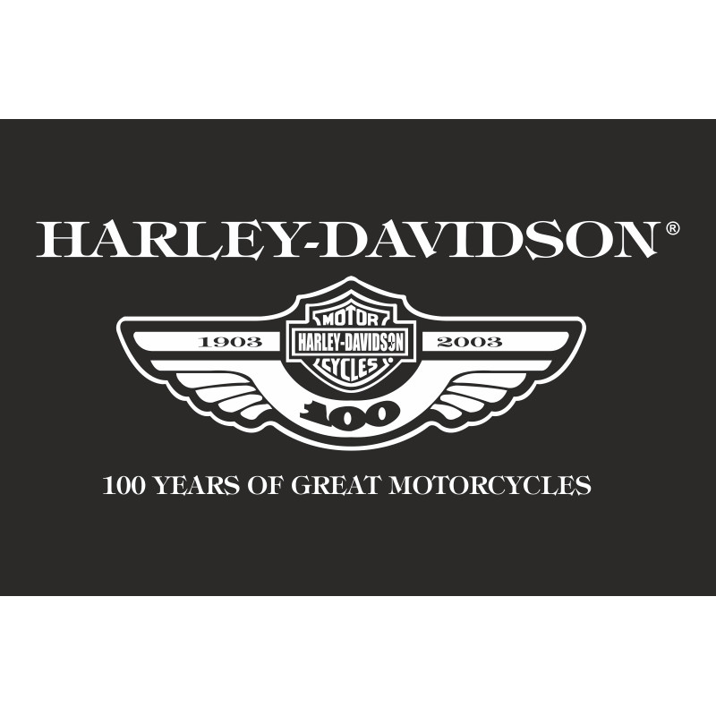 Флаг любителей Harley-Davidson (рус. Харли-Дэвидсон)-100 лет. Вариант-01 Флаг любителей Harley-Davidson (рус. Харли-Дэвидсон)-100 лет. Вариант-01