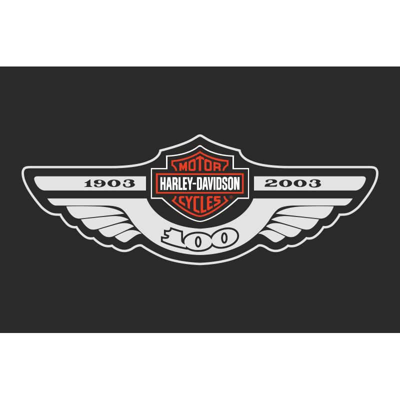 Флаг любителей Harley-Davidson (рус. Харли-Дэвидсон)-100 лет. Вариант-02 Флаг любителей Harley-Davidson (рус. Харли-Дэвидсон)-100 лет. Вариант-02