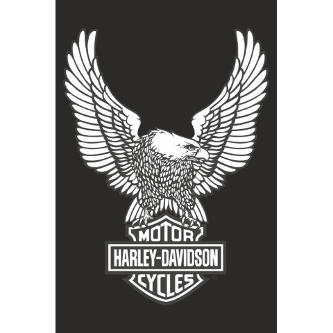 Флаг любителей Harley-Davidson (рус. Харли-Дэвидсон). Вариант-12 Флаг любителей Harley-Davidson (рус. Харли-Дэвидсон). Вариант-12