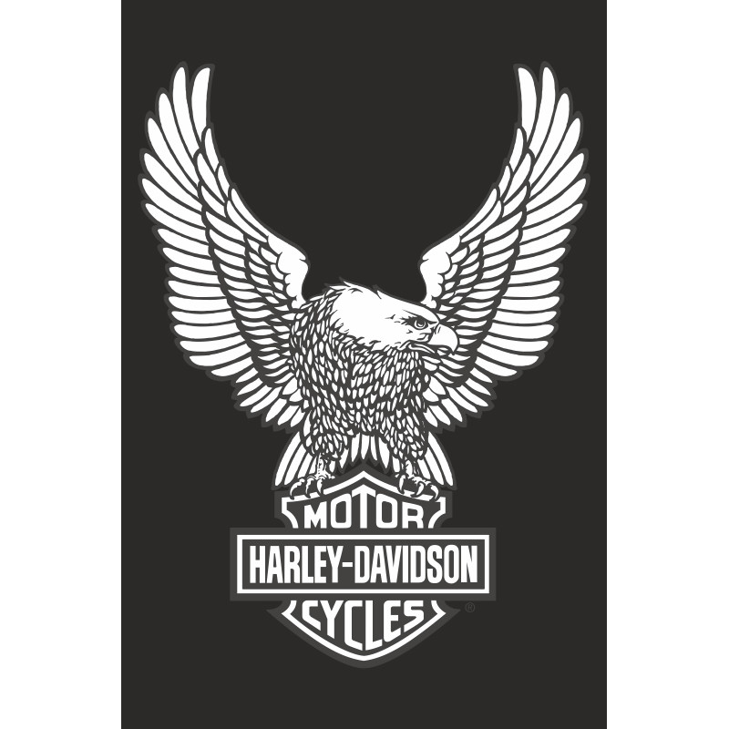 Флаг любителей Harley-Davidson (рус. Харли-Дэвидсон). Вариант-12 Флаг любителей Harley-Davidson (рус. Харли-Дэвидсон). Вариант-12