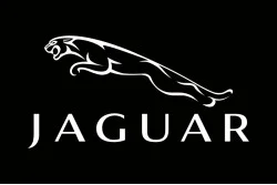 Флаг любителей Jaguar (рус. Ягуар). Вариант-02 Флаг любителей Jaguar (рус. Ягуар). Вариант-02