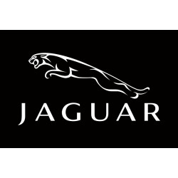 Флаг любителей Jaguar (рус. Ягуар). Вариант-02