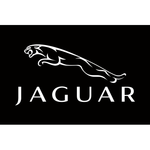 Флаг любителей Jaguar (рус. Ягуар). Вариант-02 Флаг любителей Jaguar (рус. Ягуар). Вариант-02