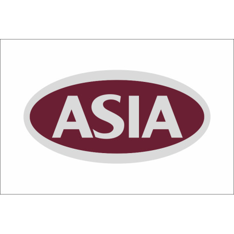 Флаг любителей Asia Motors (рус. Азия Моторс). Вариант-03 Флаг любителей Asia Motors (рус. Азия Моторс). Вариант-03