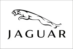 Флаг любителей Jaguar (рус. Ягуар). Вариант-03 Флаг любителей Jaguar (рус. Ягуар). Вариант-03