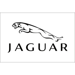 Флаг любителей Jaguar (рус. Ягуар). Вариант-03