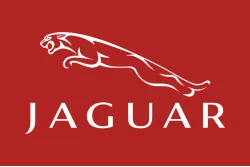 Флаг любителей Jaguar (рус. Ягуар). Вариант-04 Флаг любителей Jaguar (рус. Ягуар). Вариант-04