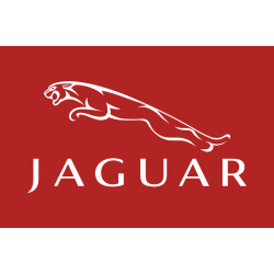 Флаг любителей Jaguar (рус. Ягуар). Вариант-04