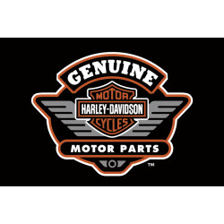Флаг любителей Harley-Davidson, Genuine motor accessories. Вариант-02
