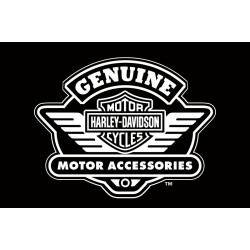 Флаг любителей Harley-Davidson, Genuine motor accessories. Вариант-03