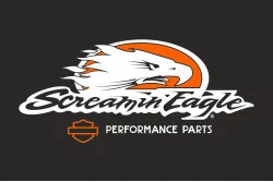 Флаг любителей Harley-Davidson, Screamin eagle. Вариант-02